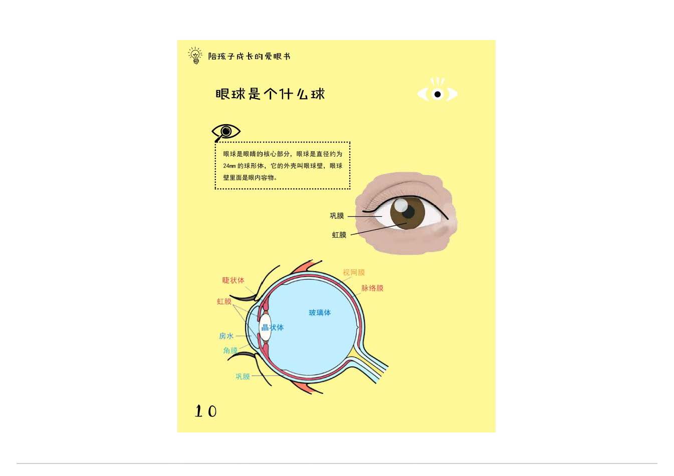 爱眼书成人版节选合成_页面_4.jpg